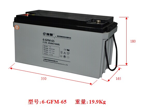 复华6-GFM-65蓄电池